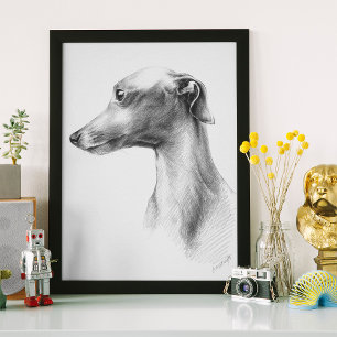 Italiaans Grieks-witte whippet portret tekenkunst Poster