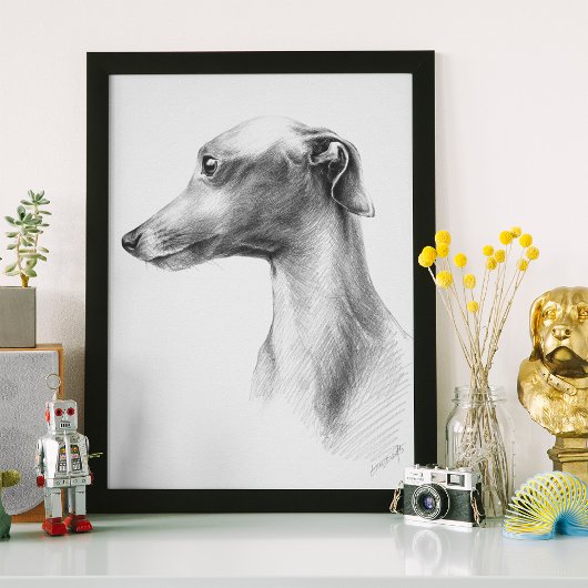 Italiaans Grieks-witte whippet portret tekenkunst Poster