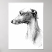 Italiaans Grieks-witte whippet portret tekenkunst Poster (Voorkant)