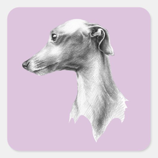 Italiaans Grieks-witte whippet portret tekenkunst Vierkante Sticker (Voorkant)