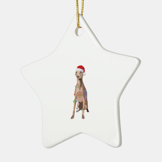 Italiaans Hondenliefhebber met kerstlampjes voor G Keramisch Ornament (Links)