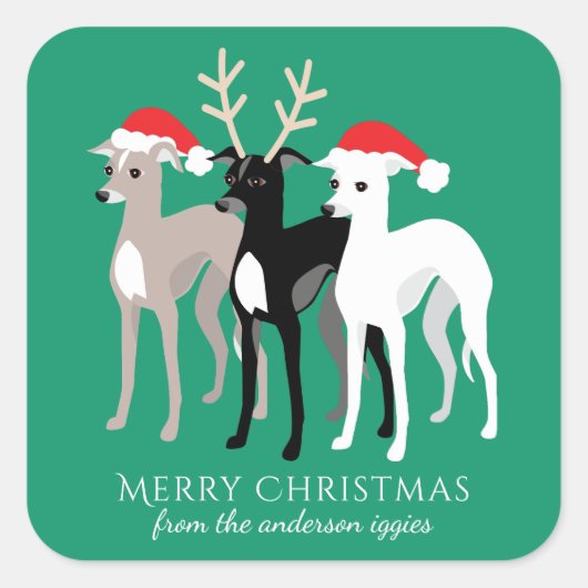 Italiaans kerstfeest met Greyhound Vierkante Sticker (Voorkant)