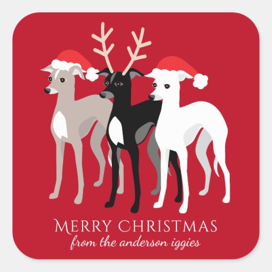 Italiaans kerstfeest met Greyhound Vierkante Sticker (Voorkant)