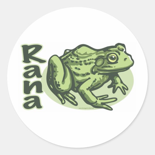 Italiaans Kikker - Rana Sticker (Voorkant)