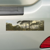 Italiaans landschap met de ringloopbomen (Voogd) Bumpersticker (Op auto)
