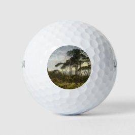 Italiaans landschap met de ringloopbomen (Voogd) Golfballen
