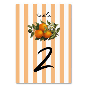 Italiaans Middellandse Zee Citrus Sinaasappel Citr Kaart