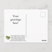 Italiaans Oregano-Briefkaart aanpassen Briefkaart (Achterkant)