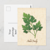 Italiaans peterselie-Briefkaart aanpassen Briefkaart (Voorkant / Achterkant)