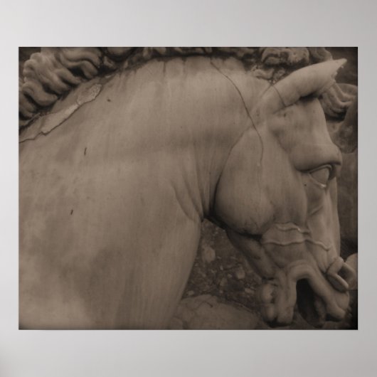 Italiaans renaissance Art Horse Poster (Voorkant)