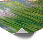 Italiaans Spinone 12 - Lilies 2 Poster (Hoek)