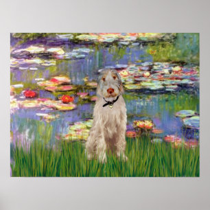 Italiaans Spinone 12 - Lilies 2 Poster