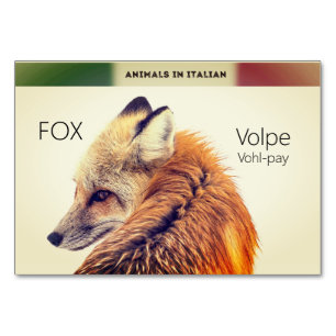 Italiaans Taal Kaarten Fox Animal Flash KAARTEN