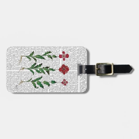 Italiaanse anjer 1 bagagelabel (Voorkant horizontaal)