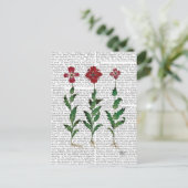 Italiaanse anjer 1 briefkaart (Staand voorkant)