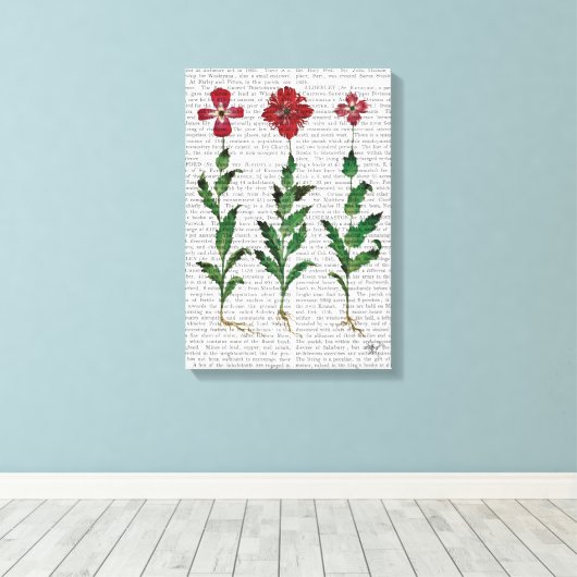 Italiaanse anjer 1 canvas afdruk (Insitu (Houten vloer))