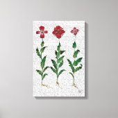 Italiaanse anjer 1 canvas afdruk (Voorkant)