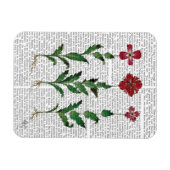 Italiaanse anjer 1 magneet (Horizontaal)