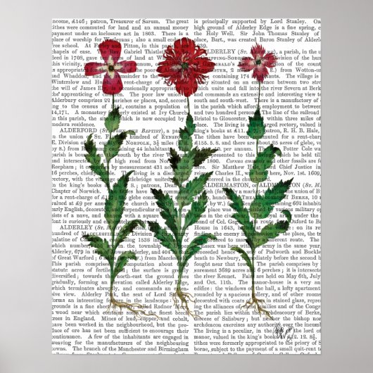 Italiaanse anjer 1 poster (Voorkant)