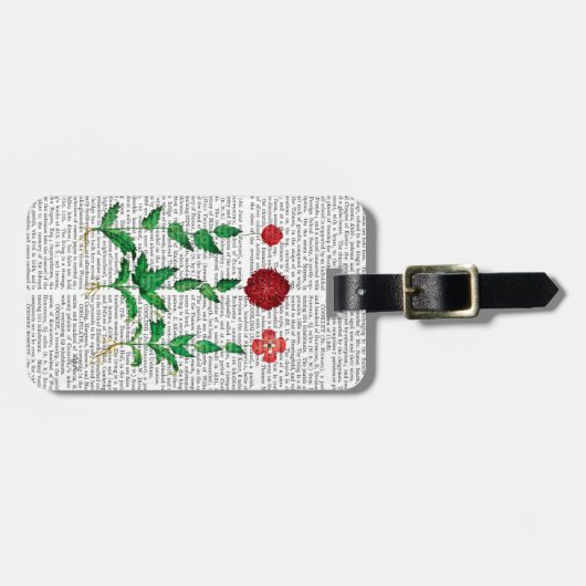 Italiaanse anjer 2 bagagelabel (Voorkant horizontaal)