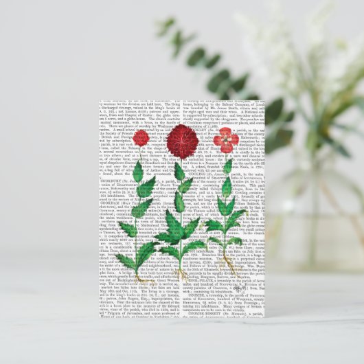 Italiaanse anjer 2 briefkaart (Staand voorkant)