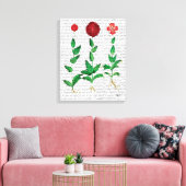 Italiaanse anjer 2 canvas afdruk (Insitu (Woonkamer))