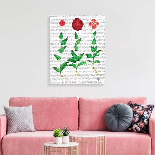 Italiaanse anjer 2 canvas afdruk (Insitu (Woonkamer))