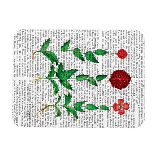 Italiaanse anjer 2 magneet (Horizontaal)