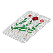 Italiaanse anjer 2 magneet (Linkerzijde)