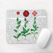 Italiaanse anjer 2 muismat (Met muis)