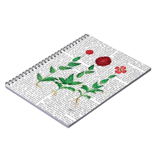 Italiaanse anjer 2 notitieboek (Linkerzijde)