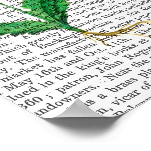 Italiaanse anjer 2 poster (Hoek)