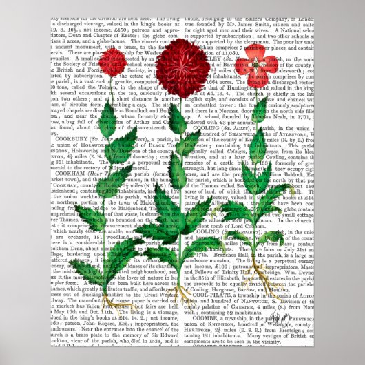 Italiaanse anjer 2 poster (Voorkant)