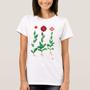 Italiaanse anjer 2 t-shirt