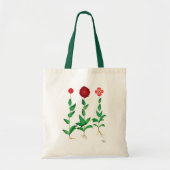 Italiaanse anjer 2 tote bag (Voorkant)