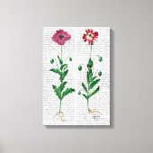 Italiaanse anjer 3 canvas afdruk (Voorkant)