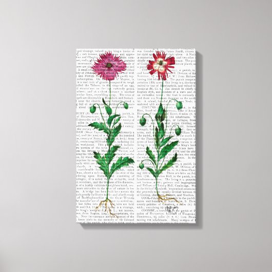 Italiaanse anjer 3 canvas afdruk (Voorkant)