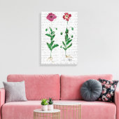 Italiaanse anjer 3 canvas afdruk (Insitu (Woonkamer))