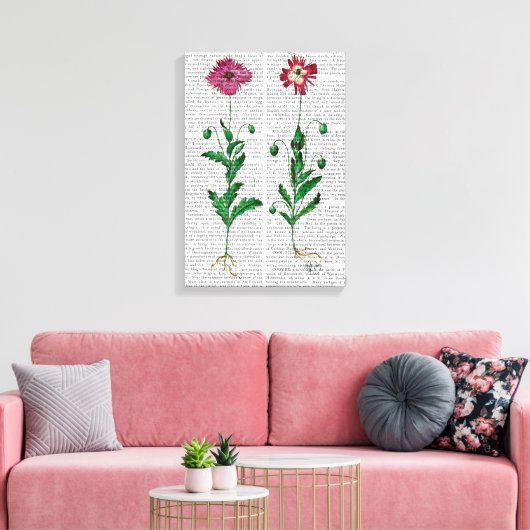 Italiaanse anjer 3 canvas afdruk (Insitu (Woonkamer))