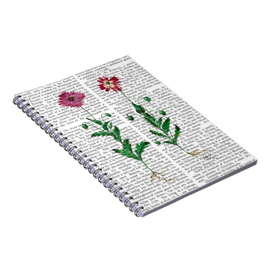 Italiaanse anjer 3 notitieboek (Rechterzijde)