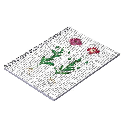 Italiaanse anjer 3 notitieboek (Linkerzijde)