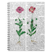 Italiaanse anjer 3 notitieboek (Voorkant)