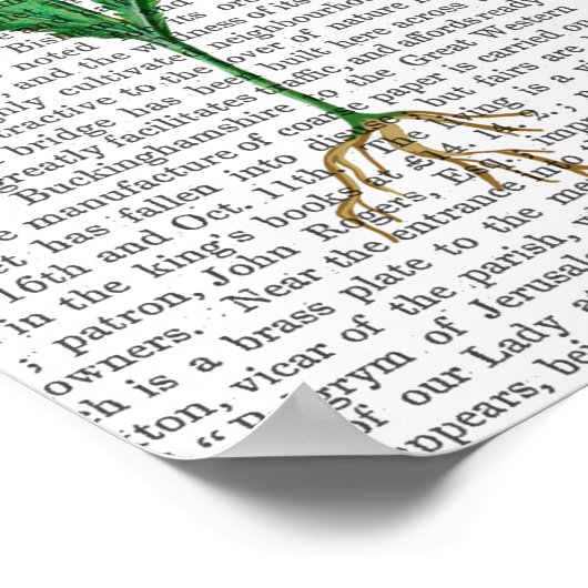 Italiaanse anjer 3 poster (Hoek)