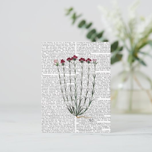 Italiaanse anjer 4 briefkaart (Staand voorkant)