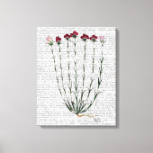 Italiaanse anjer 4 canvas afdruk (Voorkant)