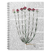 Italiaanse anjer 4 notitieboek (Voorkant)