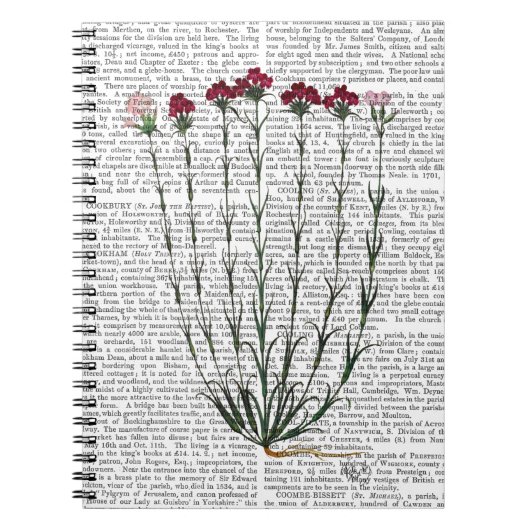 Italiaanse anjer 4 notitieboek (Voorkant)