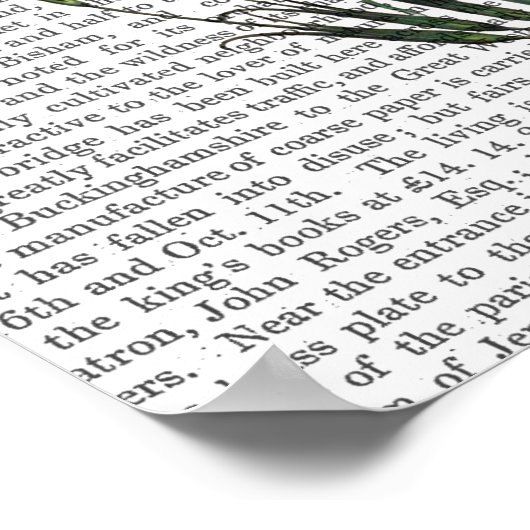 Italiaanse anjer 4 poster (Hoek)