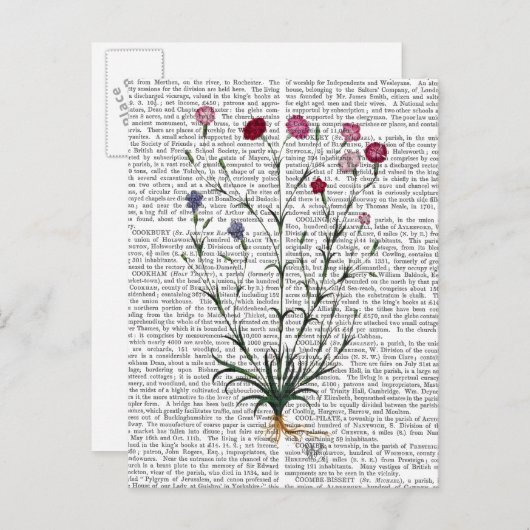 Italiaanse anjer 5 briefkaart (Voorkant / Achterkant)