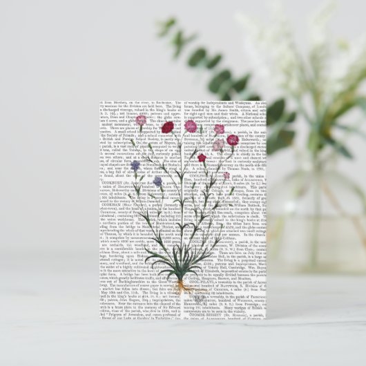 Italiaanse anjer 5 briefkaart (Staand voorkant)